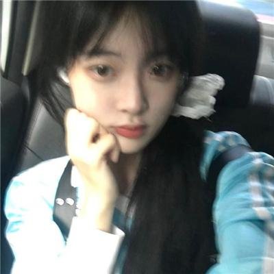 恐龙王